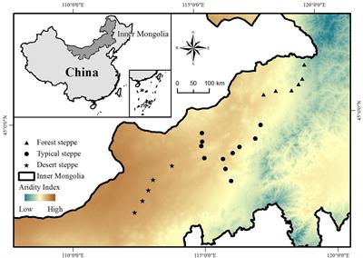 Adaptation of Dominant Species to Drought in the Inner Mongolia Grassland – Species Level and Functional Type Level Analysis